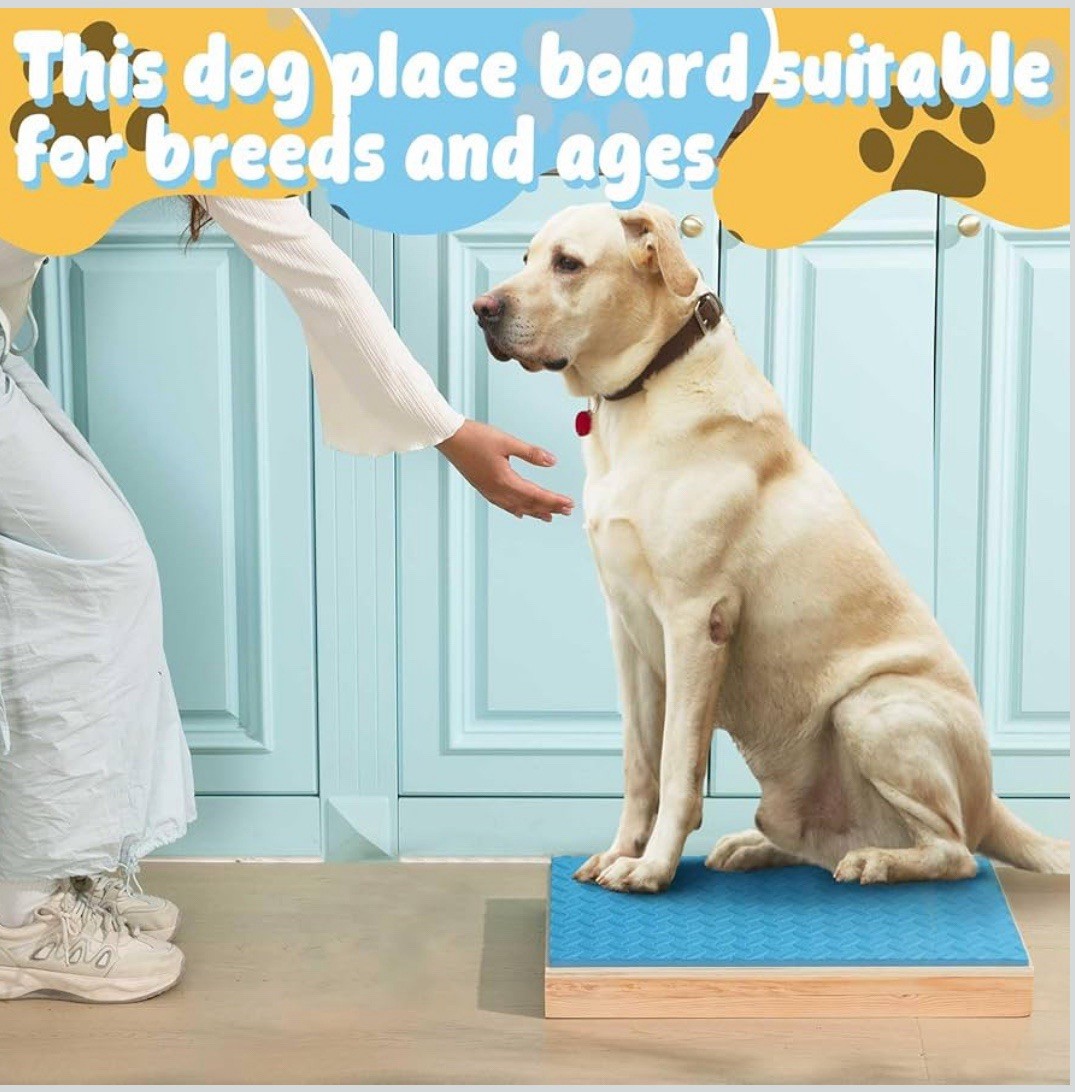 Chunful Dog Training Wood Platform NonSkid Surface Place 21.65×13.78×2.36in Blue