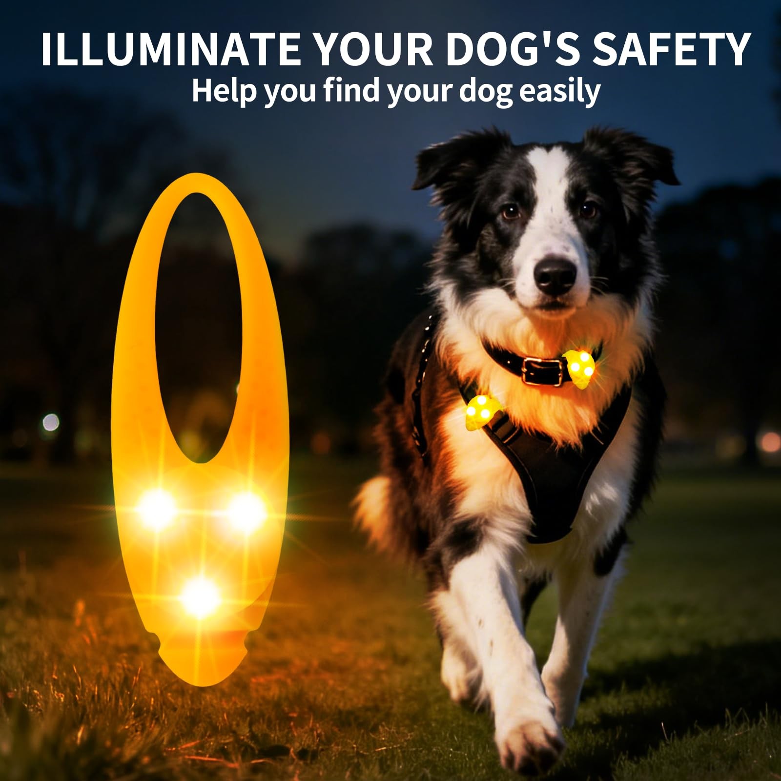 LaRoo Dog Lights for Night Walking, LED Dogs Collar Orange-A