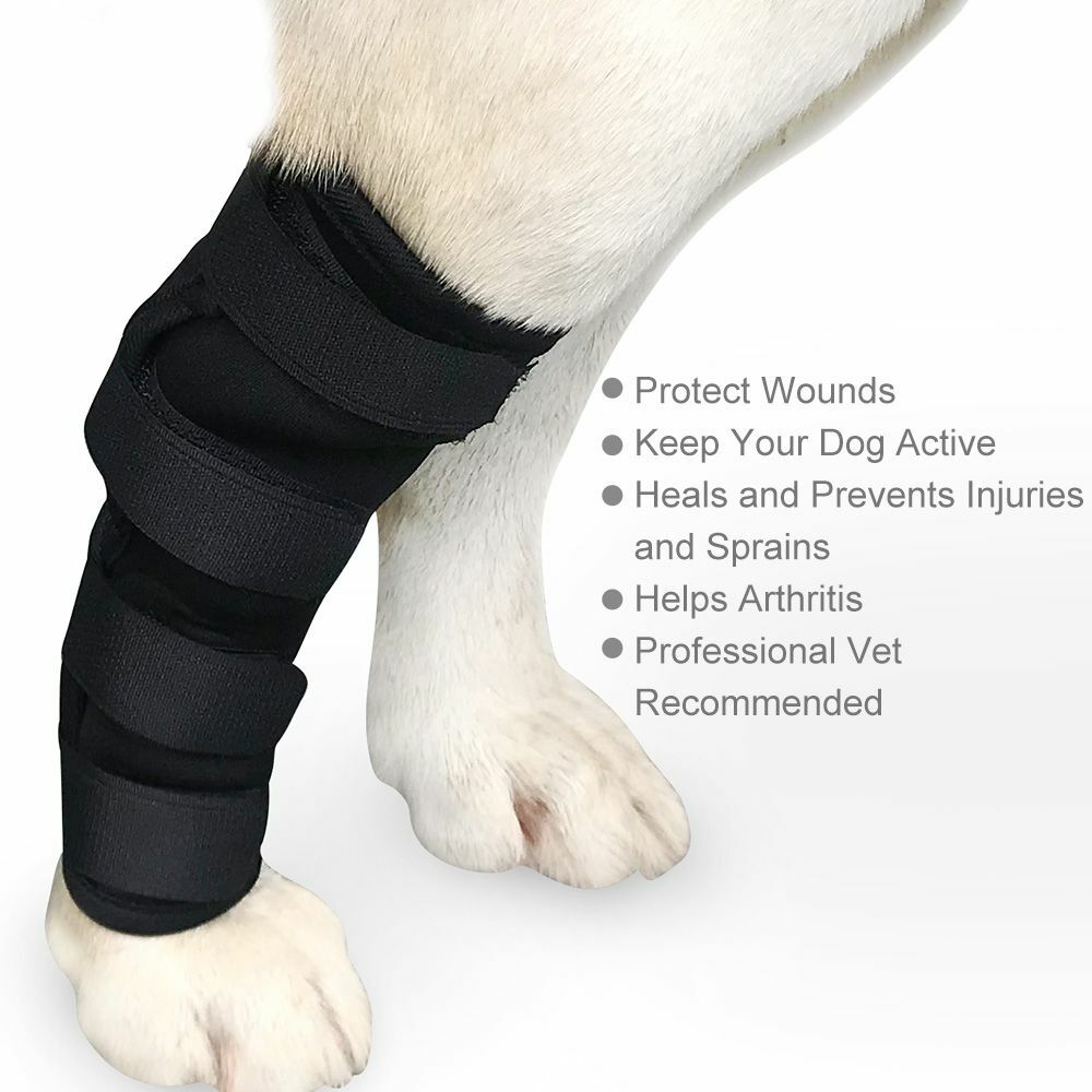 AS Pet Dog Leg Recovery Bandage Soft Elastic Wound Protection Black Brace Cover