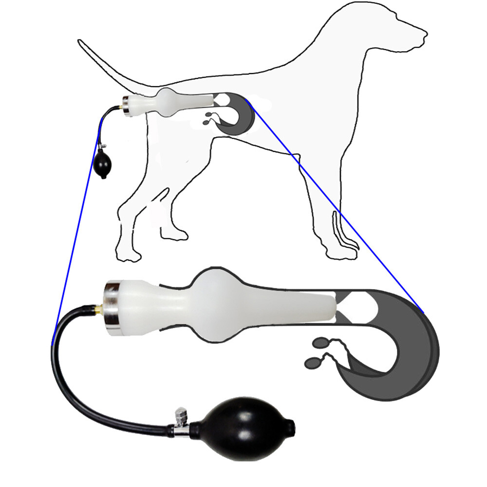 Dog Artificial Insemination Kit New Professional Imitation Nature Mating Tool US