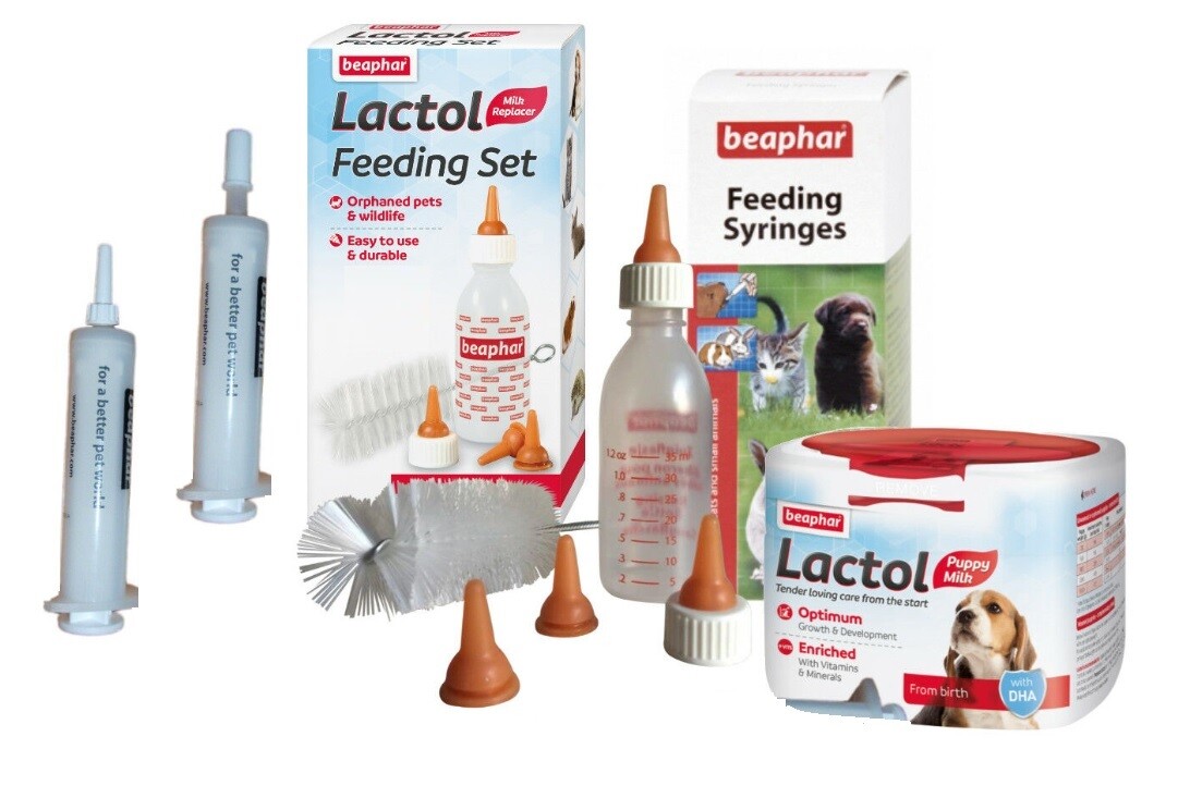 Petnap Puppy Feeding Set Syringe Kit 250G of Lactol Feed Formula New