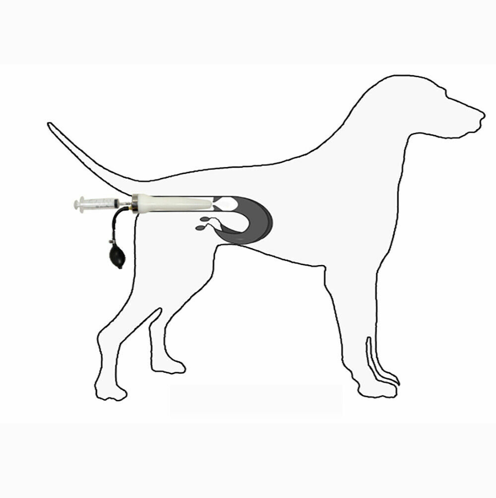 Various Size Dogs Artificial Insemina Syringe Dog Imitation Natural Mating Tool
