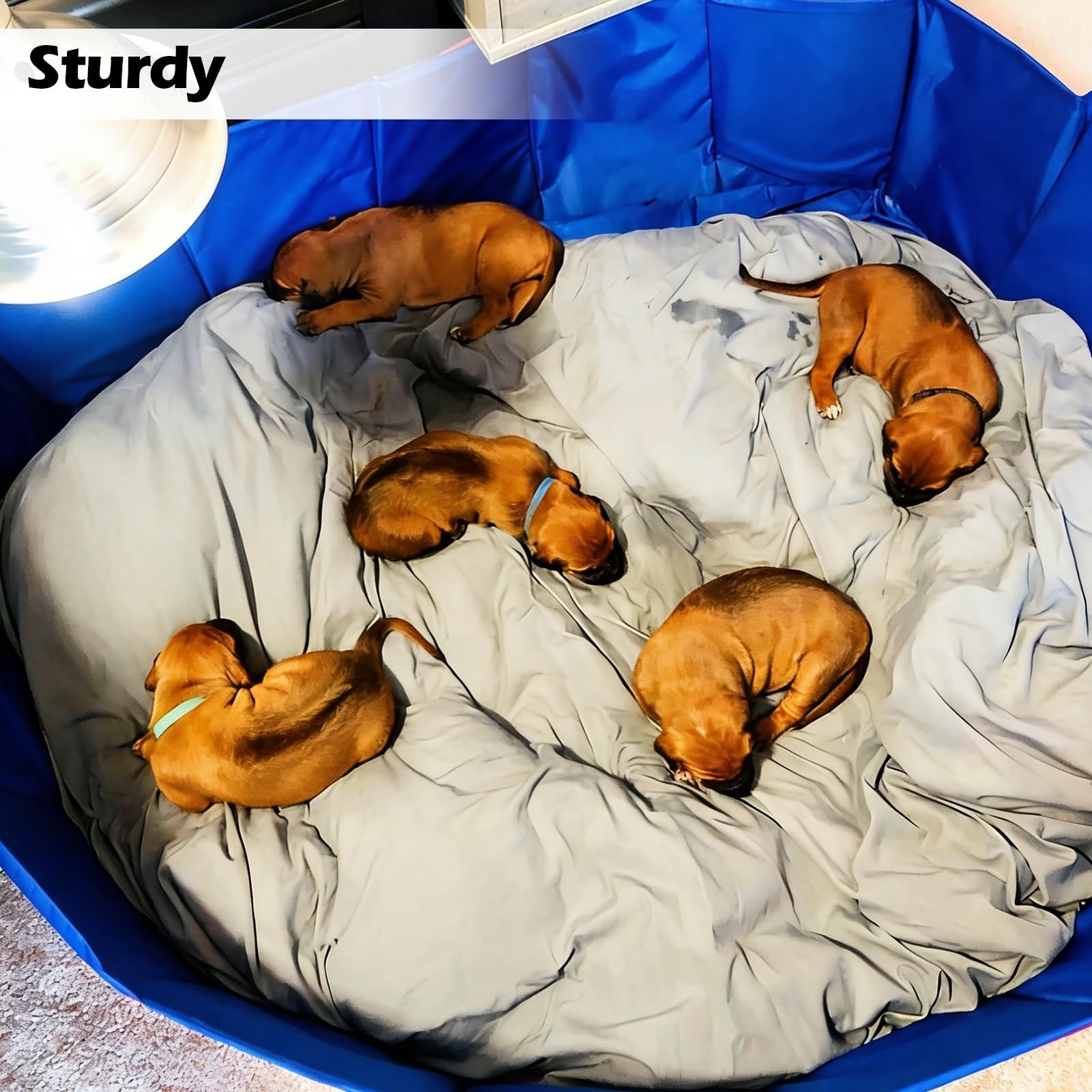Whelping Box for Dogs & Puppies, Easy Clean Whelping Pool & Pen, 39″ Dia x 12″ H