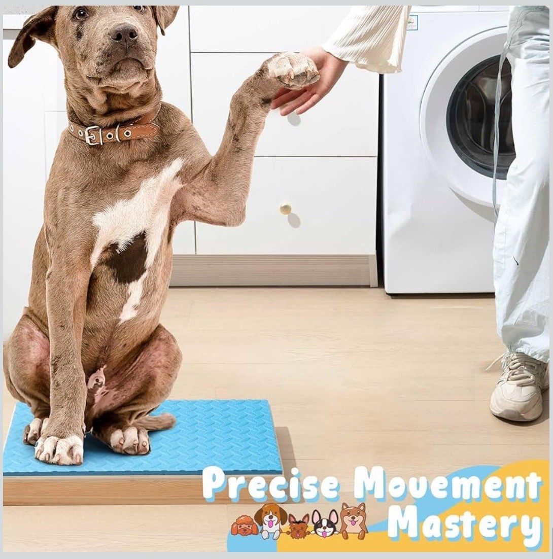 Chunful Dog Training Wood Platform NonSkid Surface Place 21.65×13.78×2.36in Blue