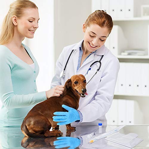 10 Set Dog Breeding Kit – Artificial Insemination Supplies for Small Medium Bree