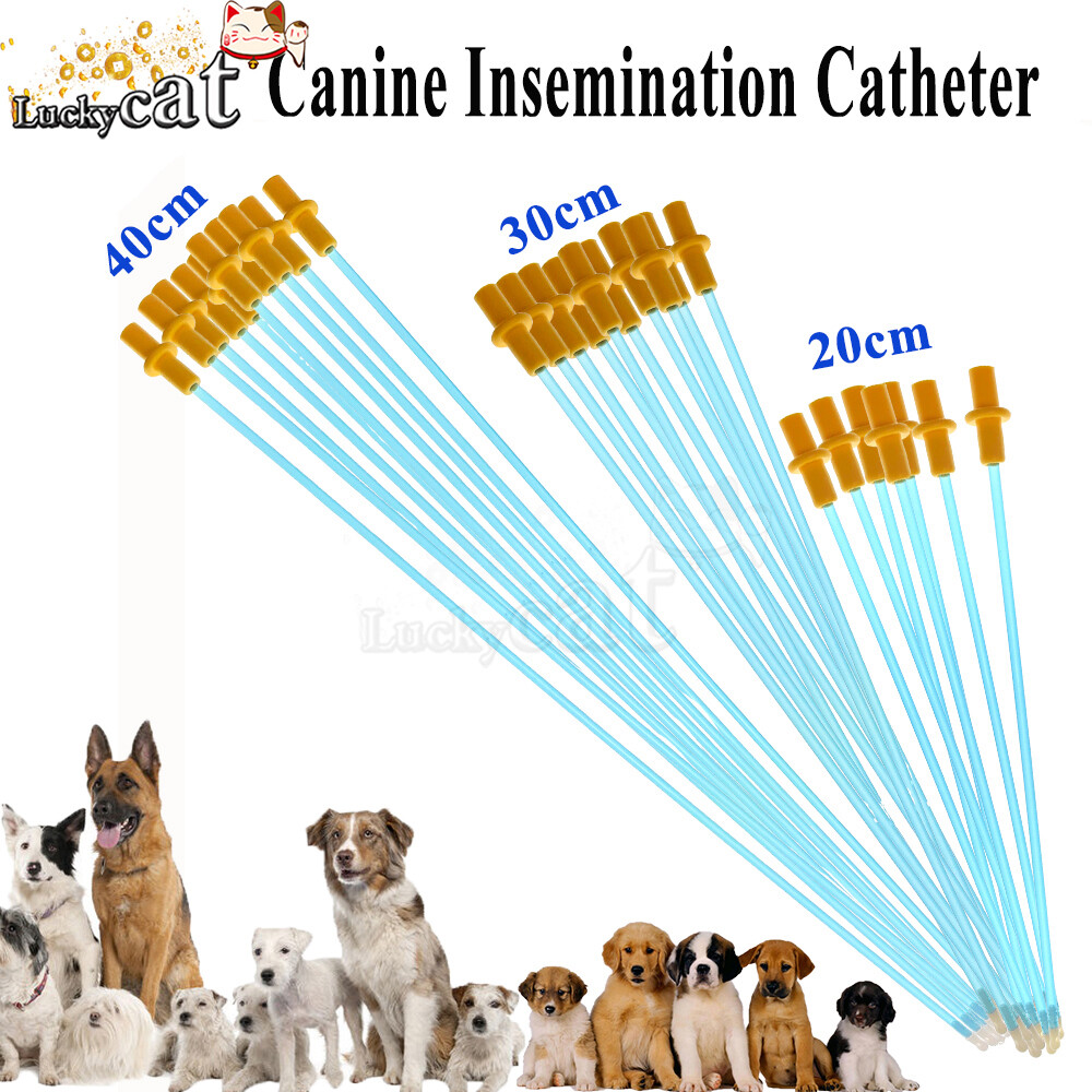 Disposable Artificial Insemination Catheters Rods Breeding Tubes For Dog