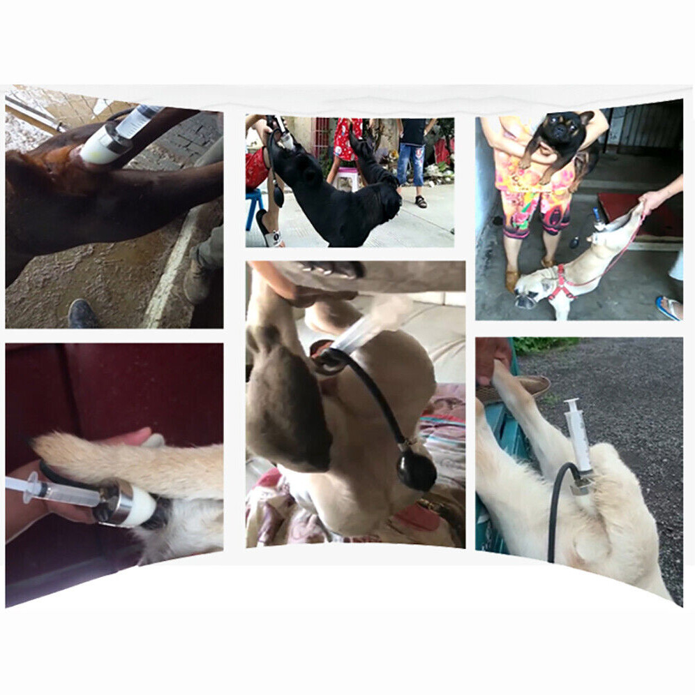 Professional Dogs Artificial Insemina Syringe Dog Imitation Natural Mating Tool