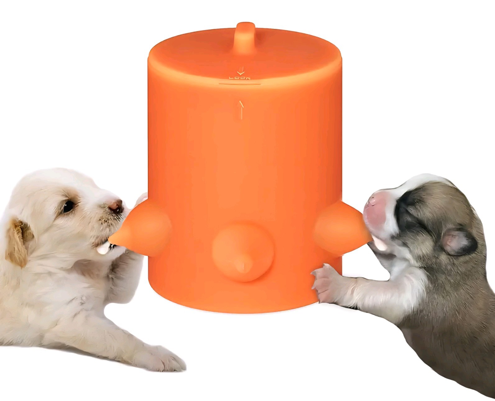 5 Nipple Puppy Kitten Nursing Milk Feeding Station Bowl Soft Silicone 600ml