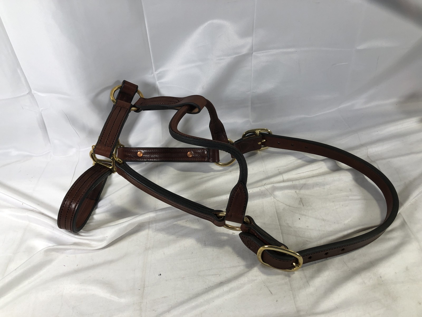 Leaders 3/4″ Leather Halter for Horses Hardware Ruby Red Pep Engraved