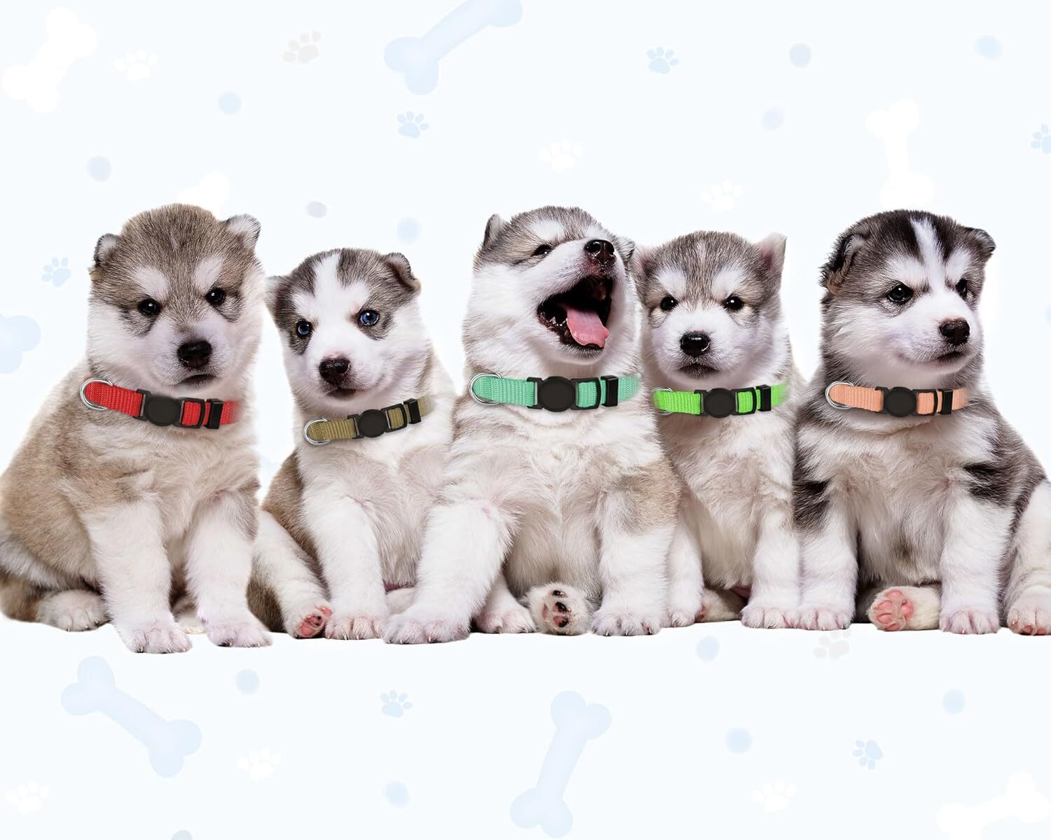 20 Pack Puppy ID Collar Identification Adjustable Breakaway Whelping Collars