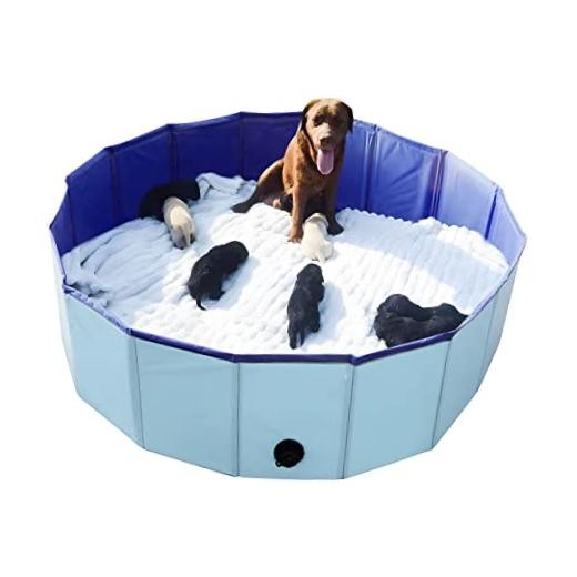 Whelping Box for Dogs Welp Box Diameter: 47 inches x Height: 12 inches Blue