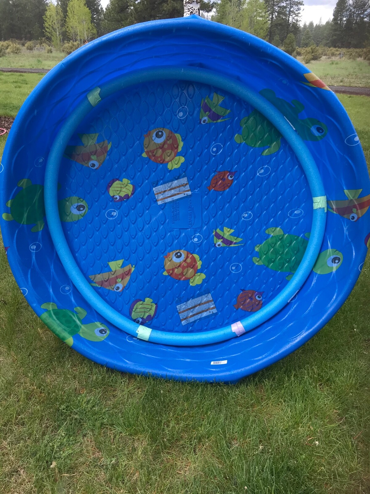 SMALL “Turtles” Handmade Fleece Whelping Kiddie Pool Liner for Puppies