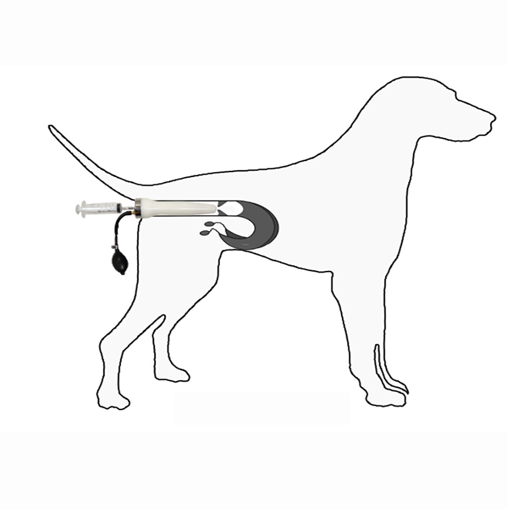 Professional Dogs Artificial Insemina Syringe Dog Imitation Natural Mating Tool