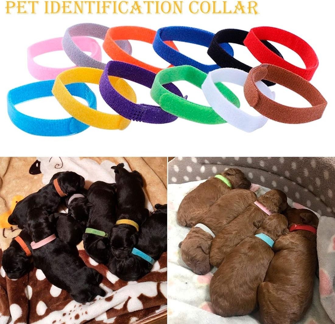 Bright Multicolor Puppy Whelping Collars – 12 Pack for Small Dogs & Kittens