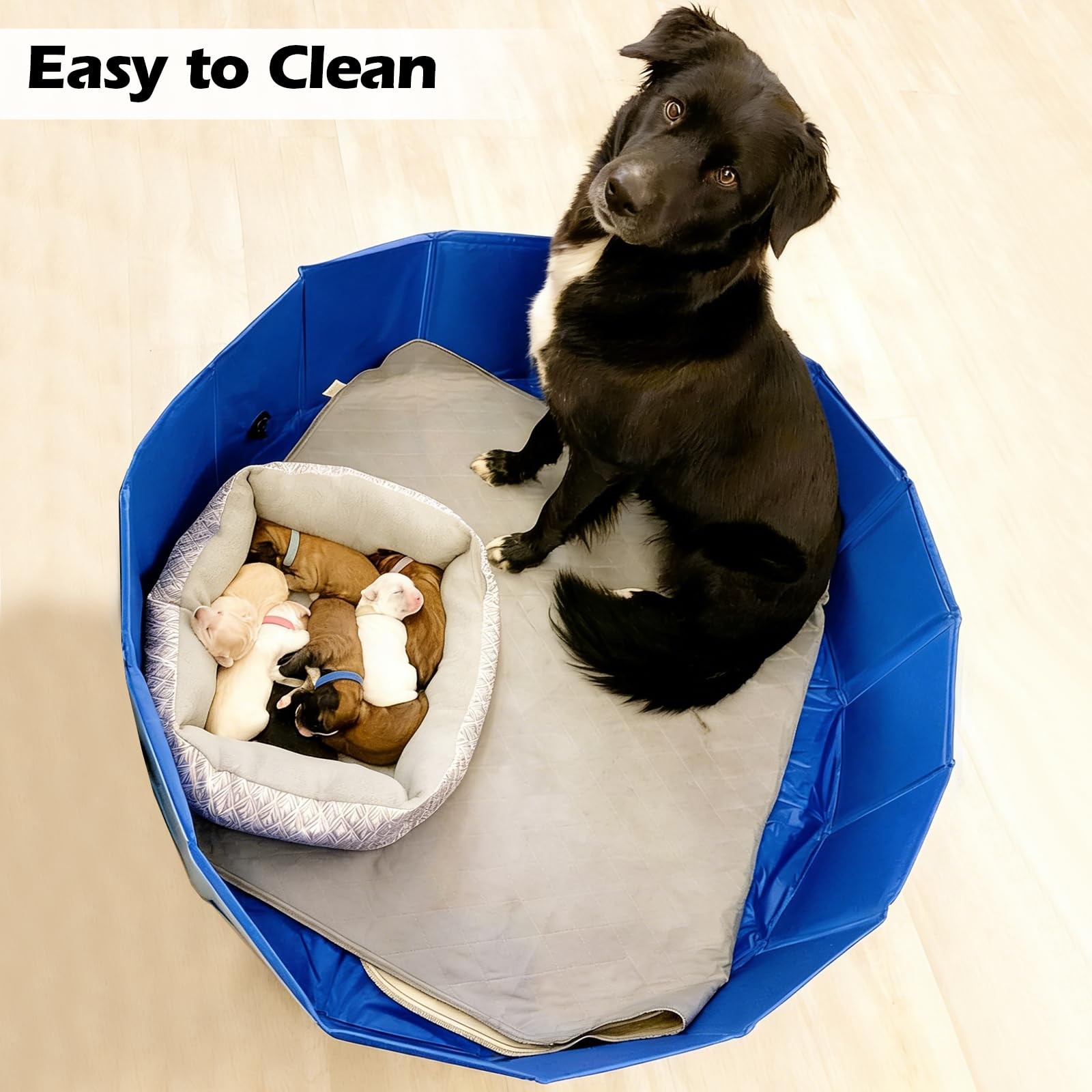 Artilife Whelping Box for Dogs Diameter: 32 inches x Height: 8 inches, Blue