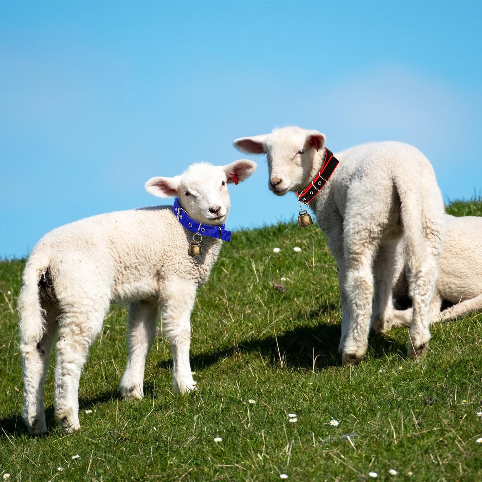 12 Pack Goat Collars with Bells, Adjustable Nylon Sheep Collar with Anti-Lost