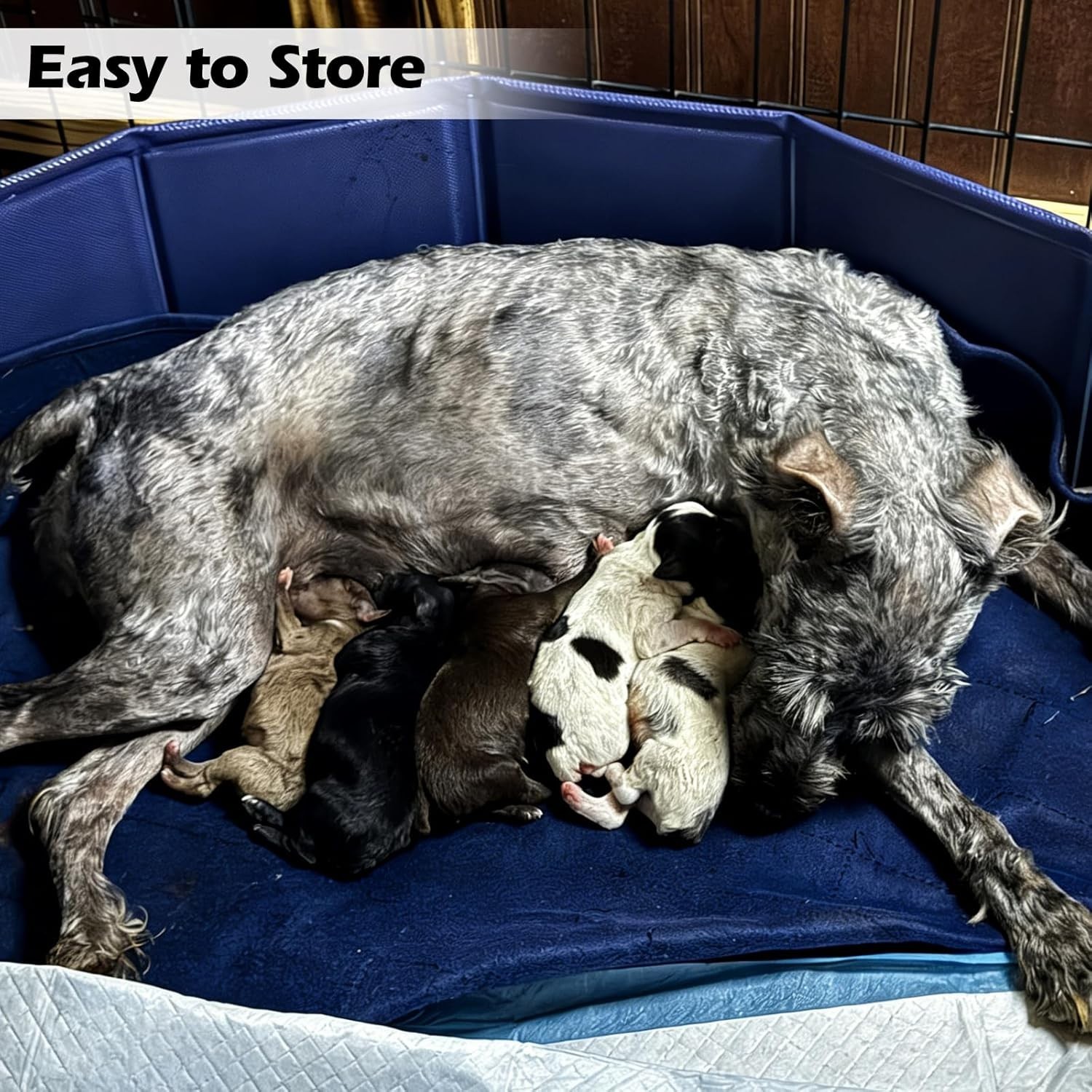 Grey 63″ Diameter Dog Whelping Box for Puppies – Heavy-Duty PVC Whelping Pen