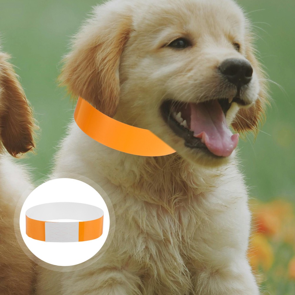 100PCS Newborn Dog Collars ID Tags Adjustable Puppy Litter Collars Pet