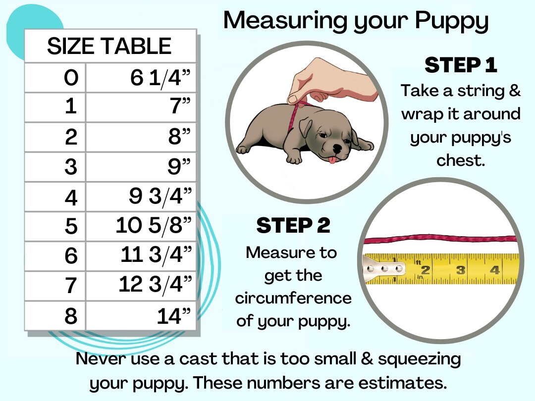 Newborn Puppy Flat Chest Kit: Whelping Essential, Sizes 0-5