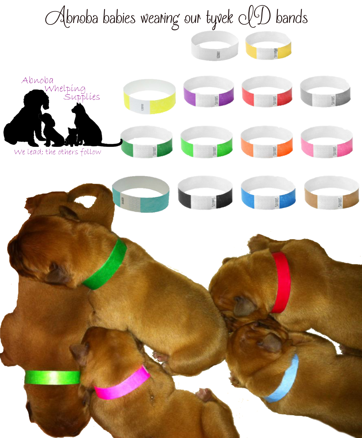 Alpha Dog Mini Puppy cat Whelping Kit Cord Clamp Forceps Iodine pet birthing set