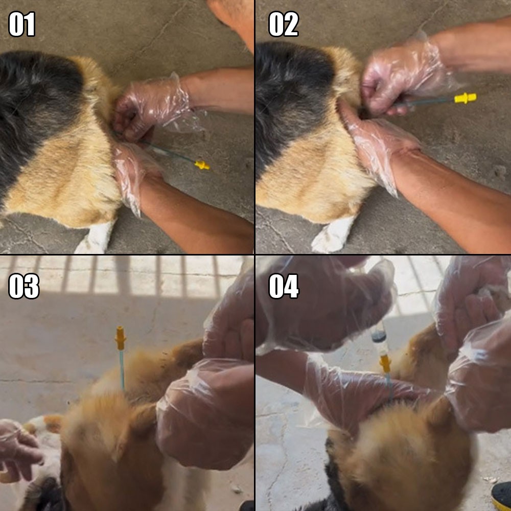 20Pcs Pet Dog Disposable Artificial Insemination Catheters Rods Breeding Tubes ‘