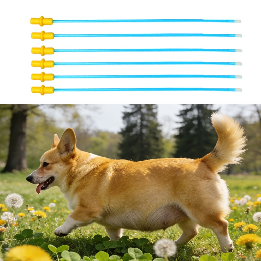 20Pcs Pet Dog Disposable Artificial Insemination Catheters Rods Breeding Tubes ‘