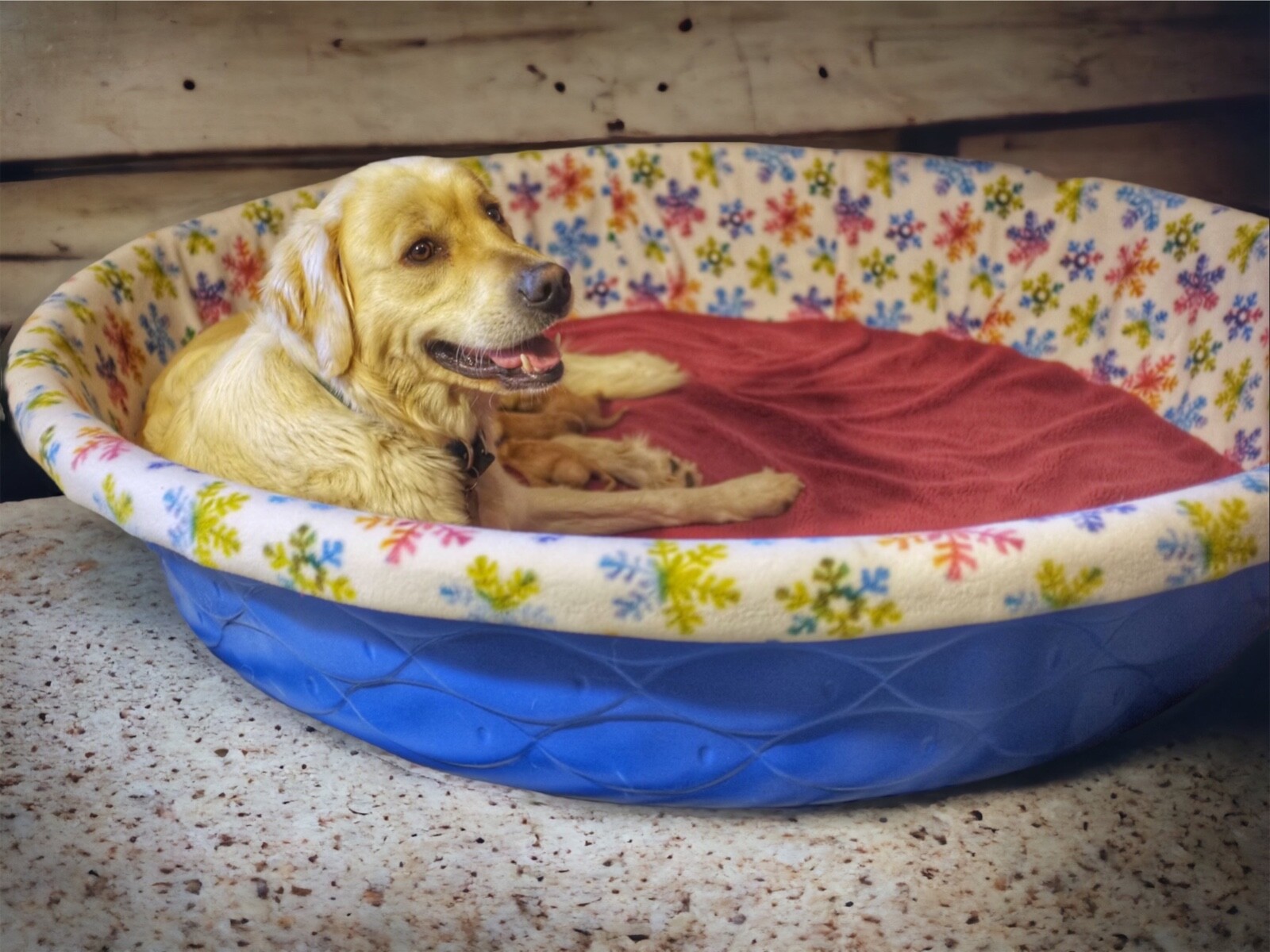 FREE USA Ship LARGE Handmade Fleece Whelping Kiddie Pool Liner for Puppy Breed