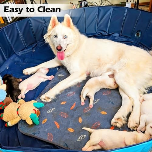 Whelping Box for Dogs Welp Box Diameter: 47 inches x Height: 12 inches Blue