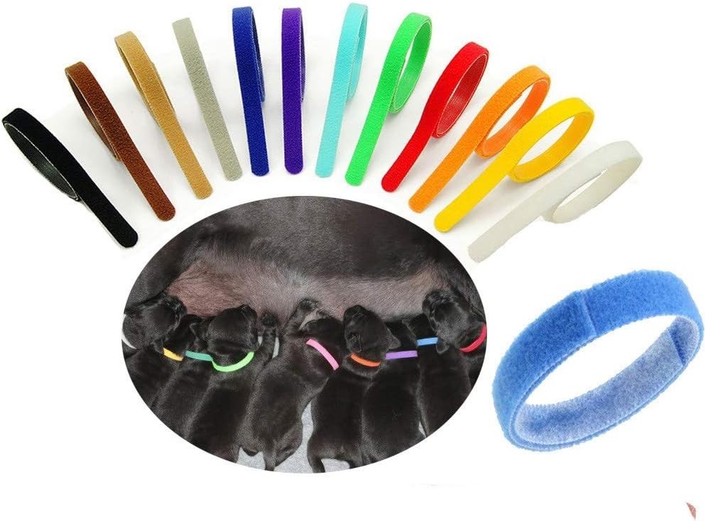 Bright Multicolor Puppy Whelping Collars – 12 Pack for Small Dogs & Kittens