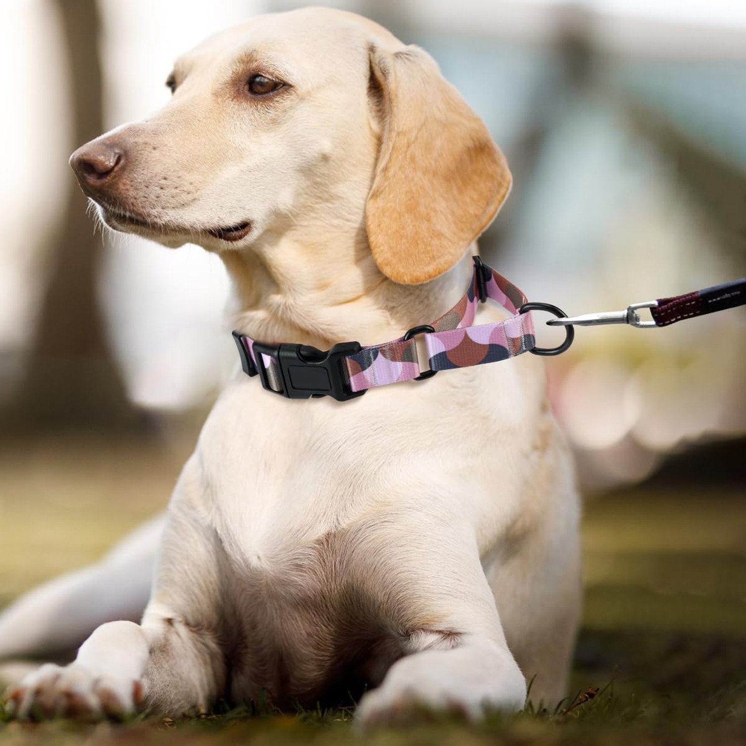 Martingale Dog Collars,Adjustable Soft Nylon Quick Release Buckle,No Pull Tra…