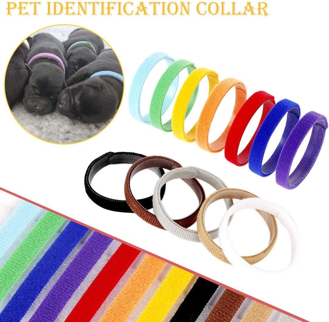 Bright Multicolor Puppy Whelping Collars – 12 Pack for Small Dogs & Kittens