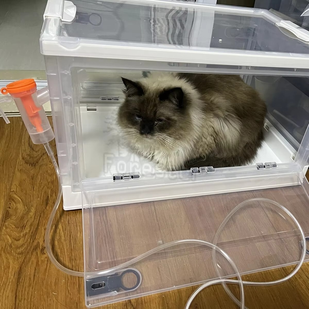Pet Atomization Box Oxygen Room Foldable Easy Carry Veterinary Nebulization Cage