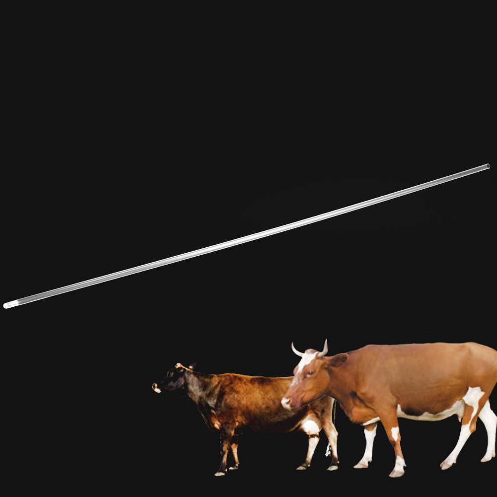 20pcs Insemination Tube Sterilized Safe Livestock Equipment For Cattle