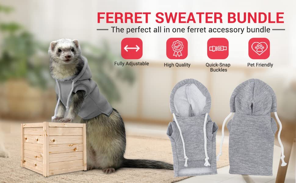 Ferret Sweater Set – Harness Leash and Hoodie for Small Ferrets