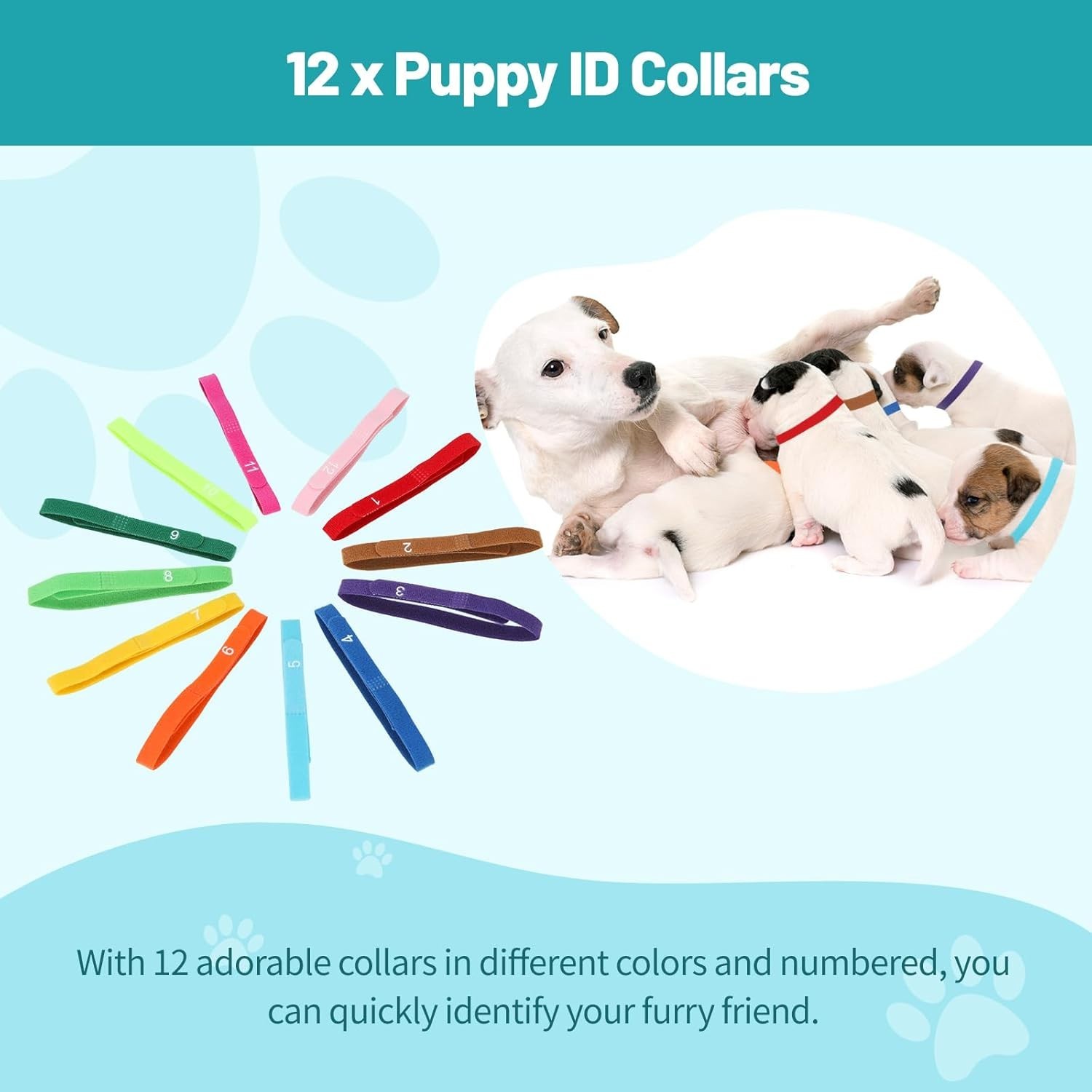 48-Piece Veterinary Approved Puppy Whelping Kit with Feeding and Care Essentials