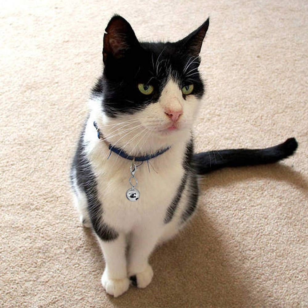 IVIA PET 4 Sets Cat Bell for Dog Collar Charm TrainingPet Medium, Silver