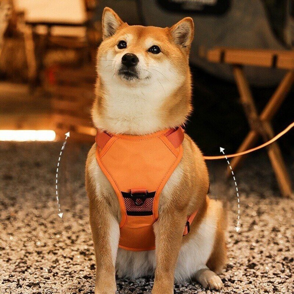 Dog Vest Traction Rope with Chest Back Integration – Elastic and Expansion-proof