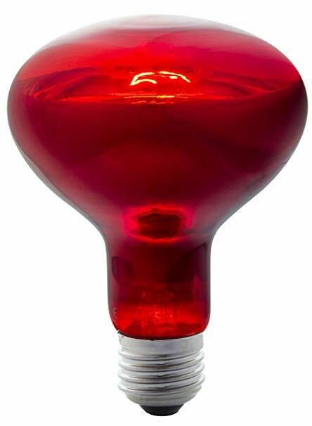 Puppy Heat Lamp & Bulbs Infra-Red Traditional Intelec c/w Guard & Reducer Switch