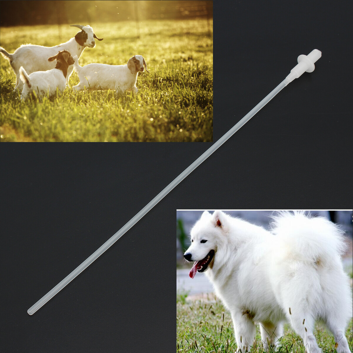 50-100PCS Artificial Insemination Rods Breeding Catheter Tube Dog Sheep Goat 10