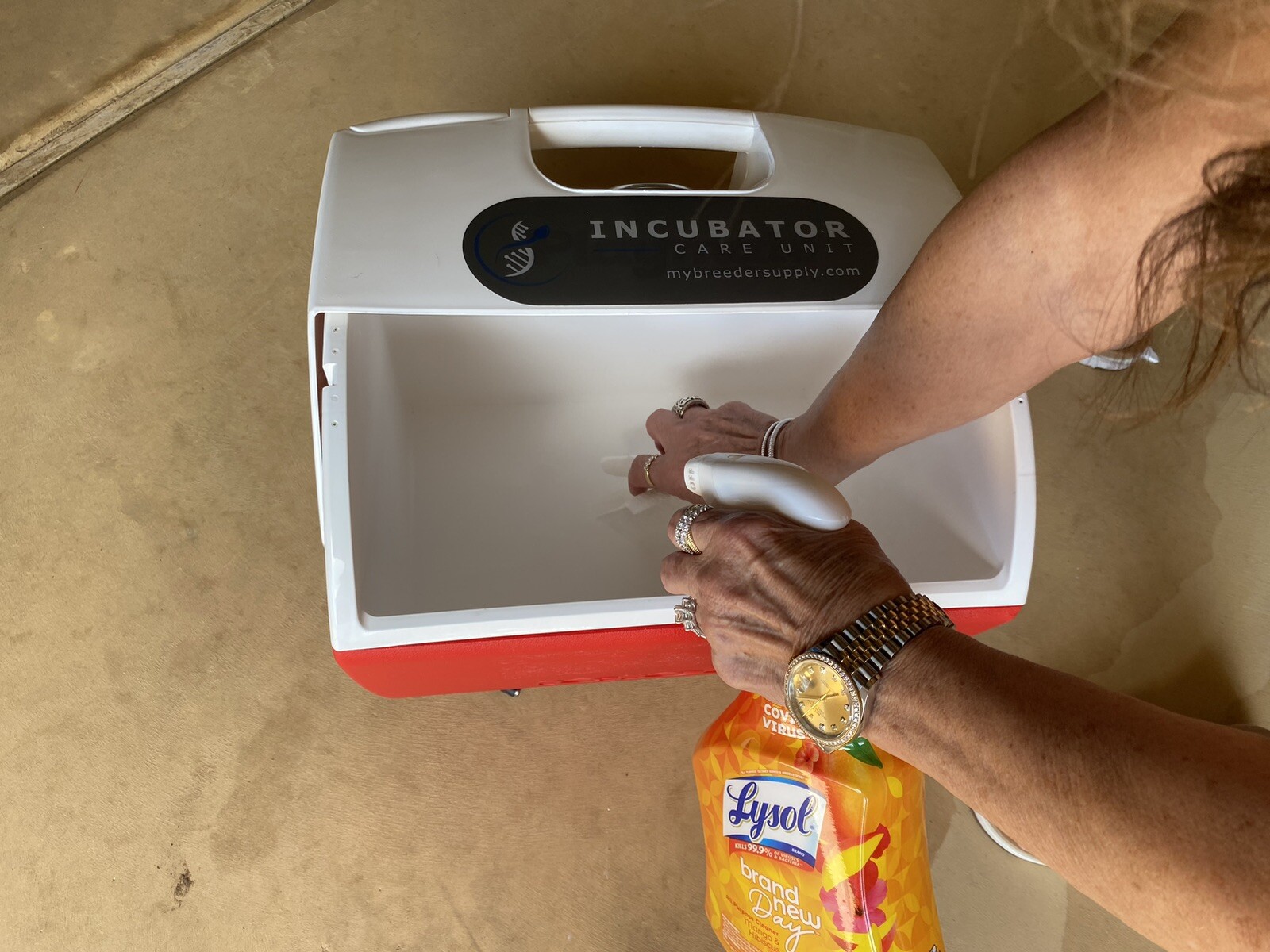 Safest & Only true Portable Pet Incubator available 12/110/220 Puppy Live Saver