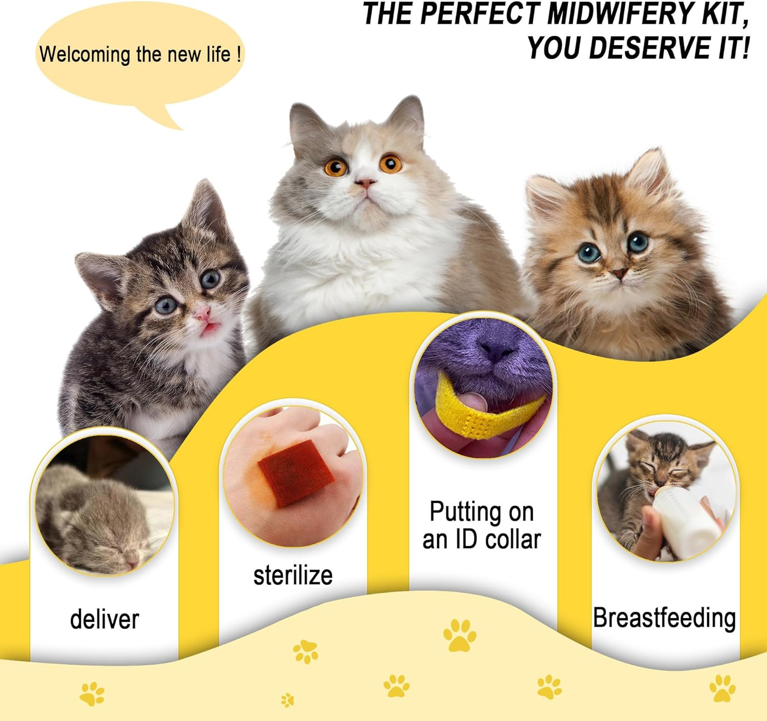 Puppy Kitten Whelping Kit Newborn Whelping Supplies Nursing Feeding Bottle Kit