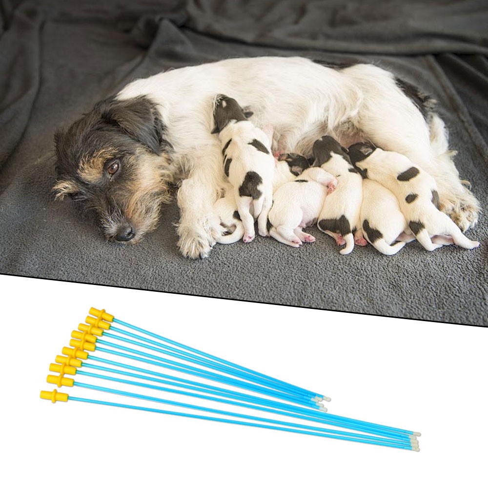 20Pcs Pet Dog Disposable Artificial Insemination Catheters Rods Breeding Tubes /