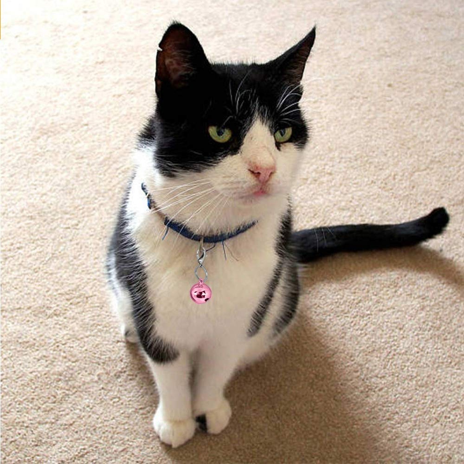 IVIA PET4 Sets Cat Bell for Dog Collar Charm Training Pet Pendant Accessories…