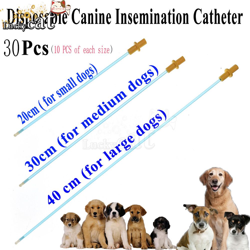 Disposable Artificial Insemination Catheters Rods Breeding Tubes For Dog