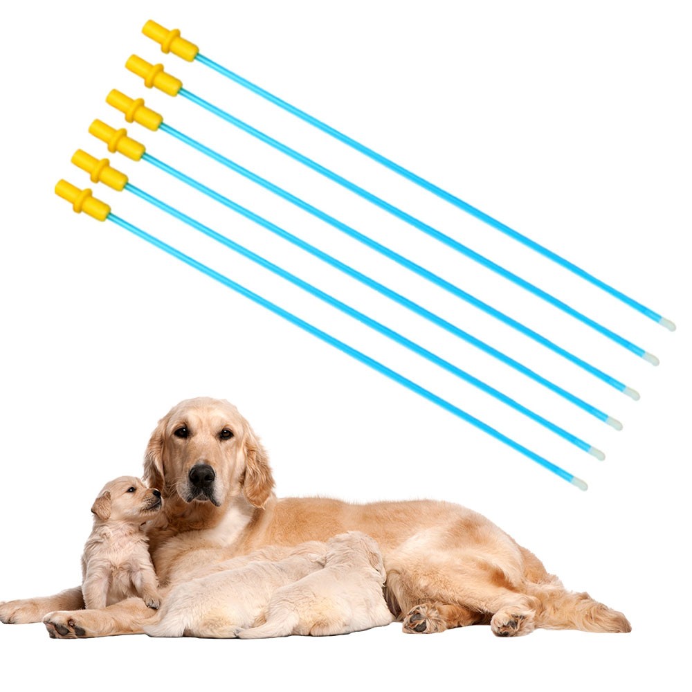 20Pcs Pet Dog Disposable Artificial Insemination Catheters Rods Breeding Tubes /