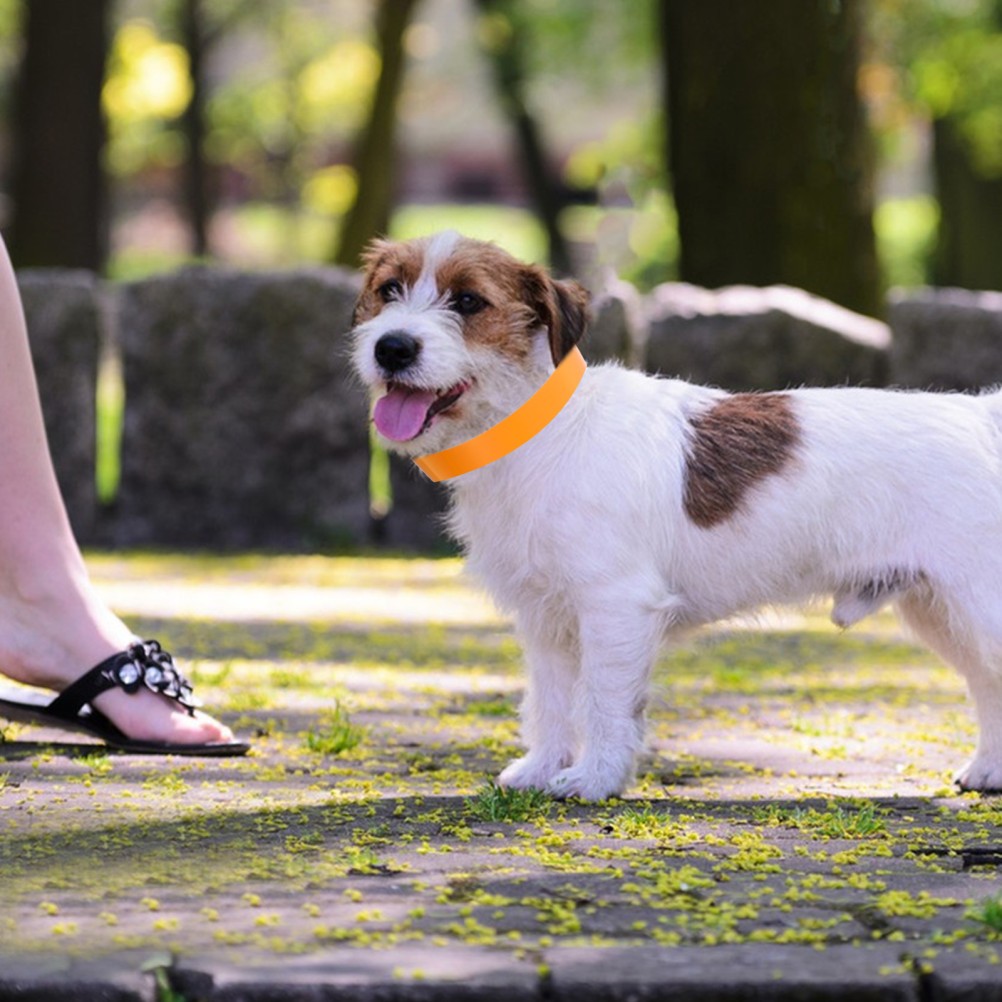 100 PCS Adjustable Puppy Collar Litter Collars for Puppies Dog with Tags