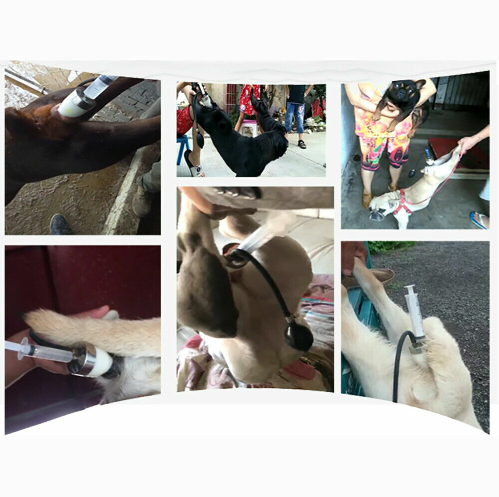Various Size Dogs Artificial Insemina Syringe Dog Imitation Natural Mating Tool
