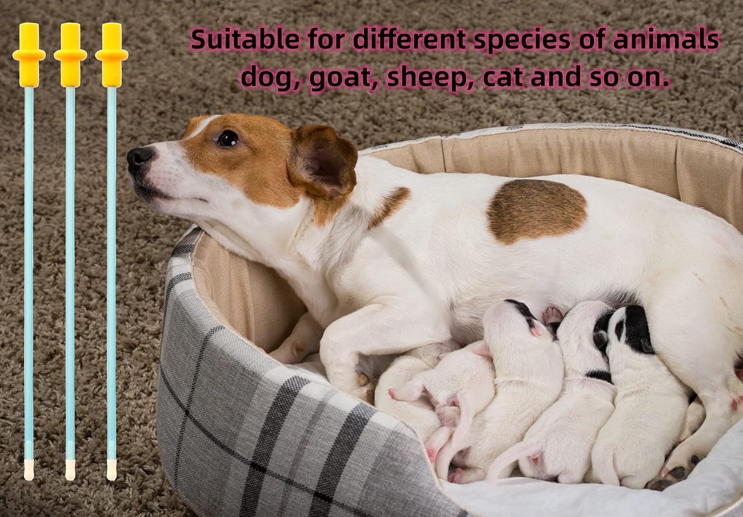 10 Set AI Artificial Insemination Dog Breeding Kit, Canine Breeding Kit, Disposa