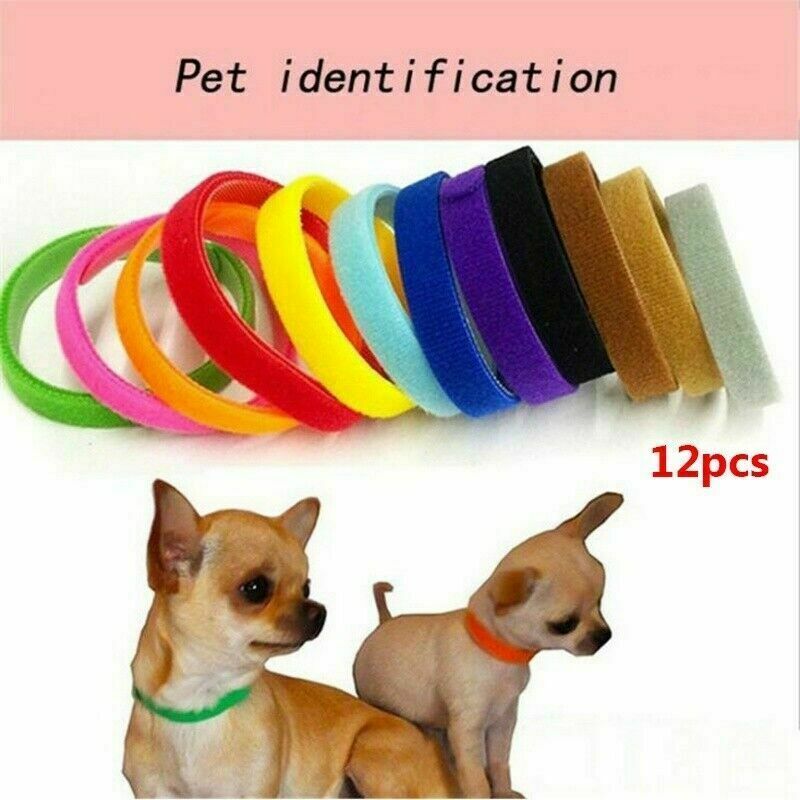 12 Whelping ID Collars Newborn Puppy & Kitten Identification Bands Breeder Nylon