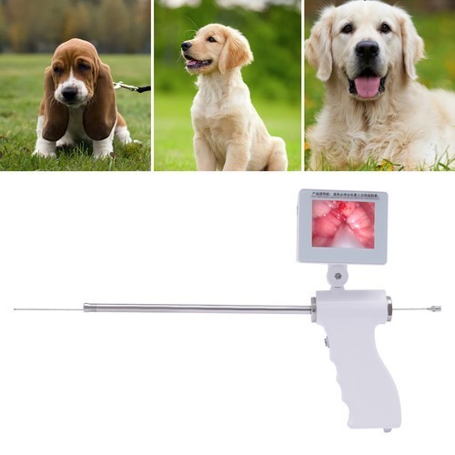 3.5 Inch Insemination Artificial Camera Screen 360° Rotation Visual Dog Gun 5MP